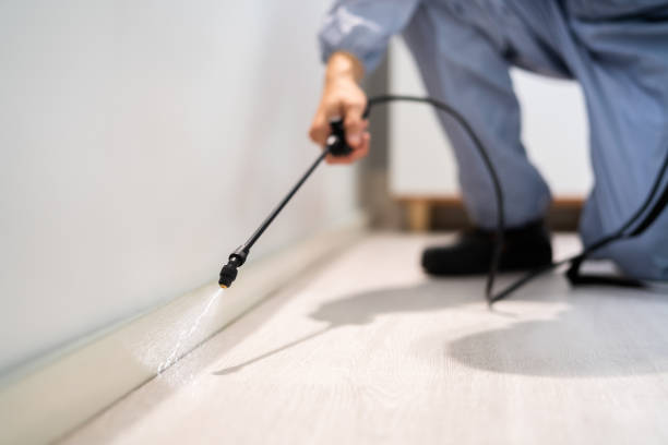 Licensed Cockroach Control service in Taylor, AZ - Nex Pest Control