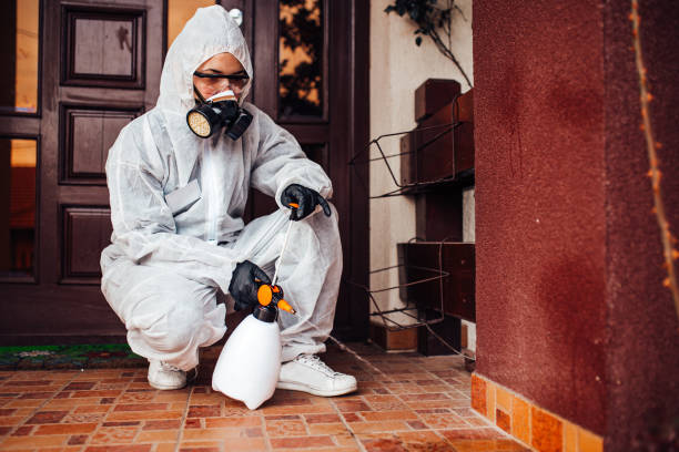 Reliable Cockroach Control contractor in Taylor, AZ by Nex Pest Control